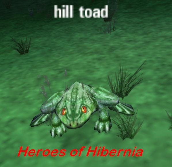 Picture of Hill Toad